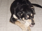 _20030101_argus_14.JPG