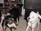 _20030217_torrie_argus_n_robin_12.JPG