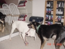 _20030217_torrie_argus_n_robin_16.JPG