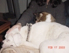 _20030217_torrie_n_kiki_01.JPG