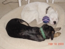 _20030218_torrie_n_robin_04.JPG