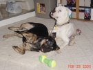 _20030223_torrie_n_robin_02.JPG
