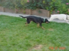 _20030227_torrie_n_robin_01.JPG